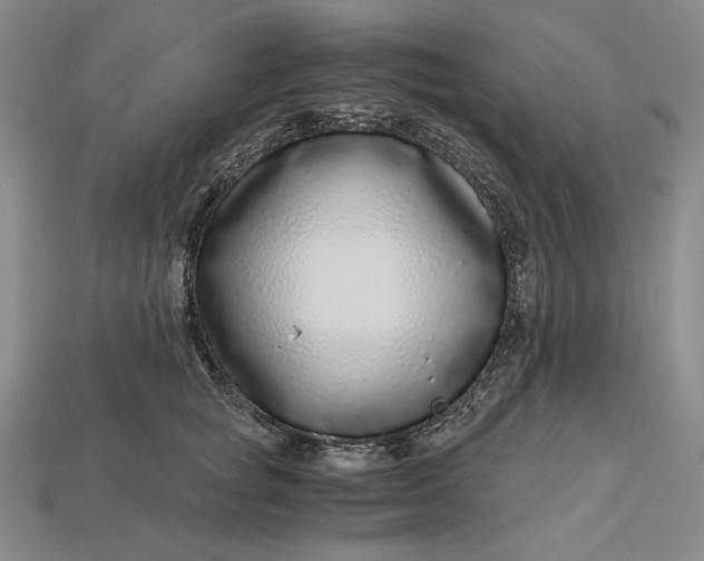 X0000112900757200909111524