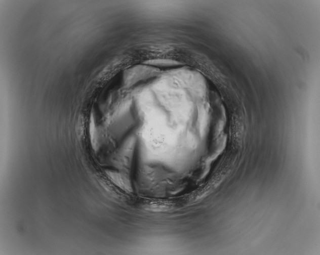 X0000112900758200909111524