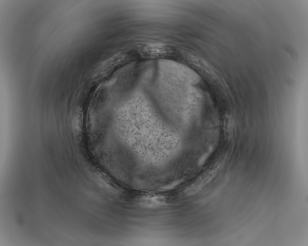 X0000112900760200909111524