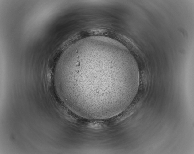 X0000112900761200909111524