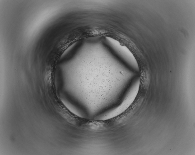 X0000112900762200909111524