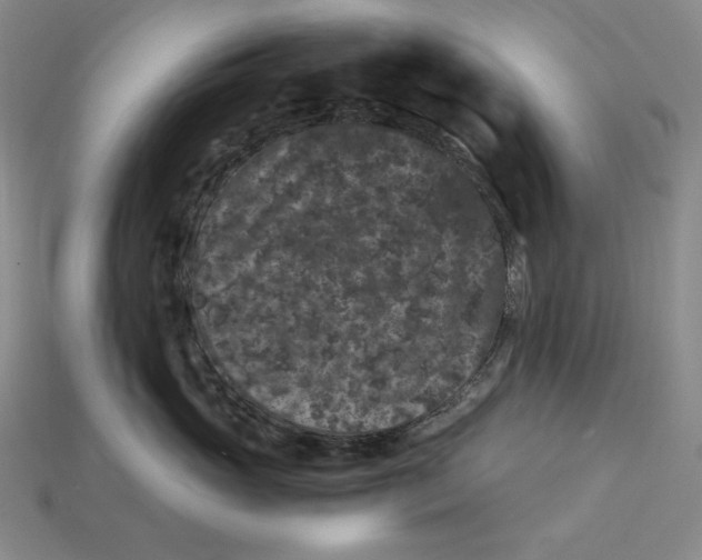 X0000112900765200909111524