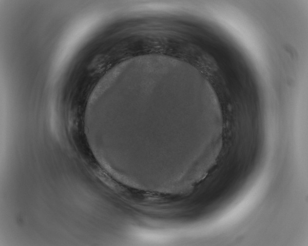 X0000112900766200909111524
