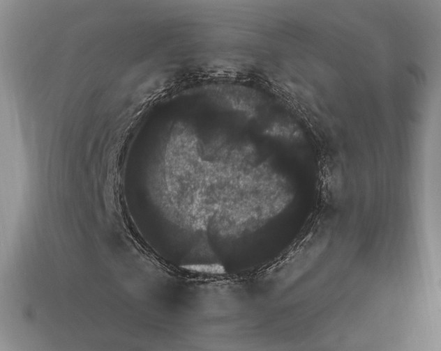 X0000112900769200909111524