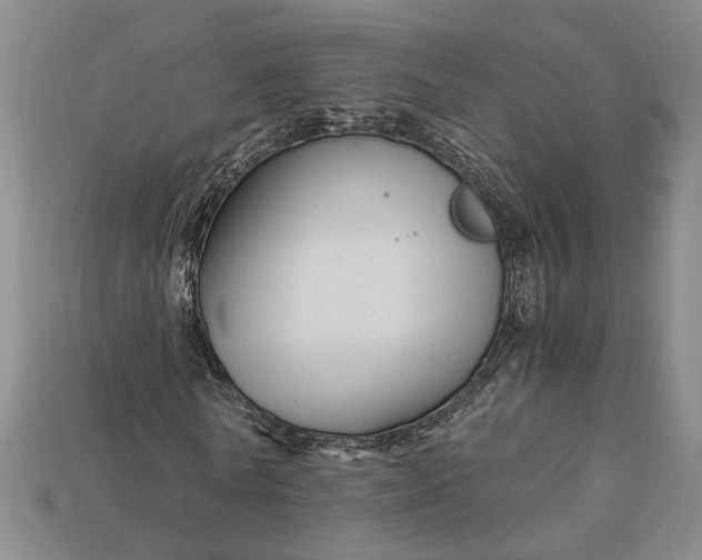X0000112900770200909111524