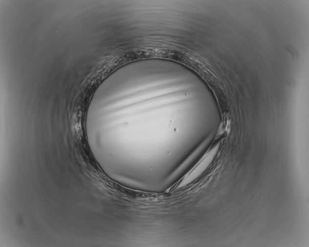 X0000112900771200909111524