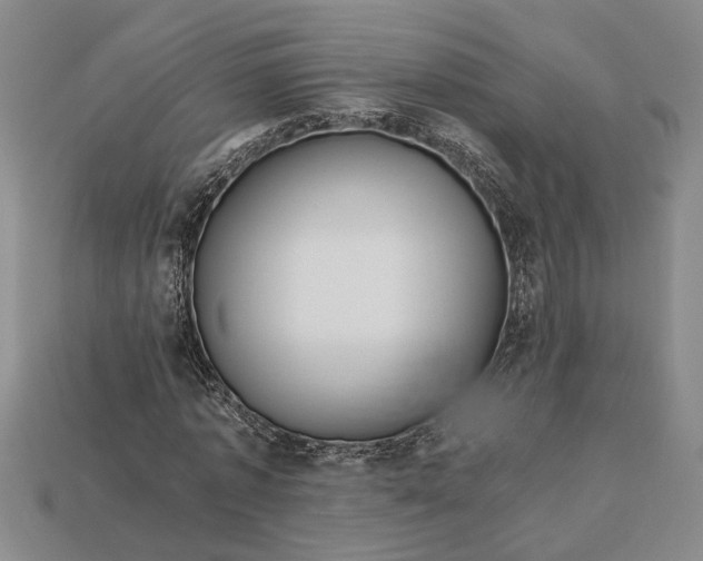 X0000112900773200909111524