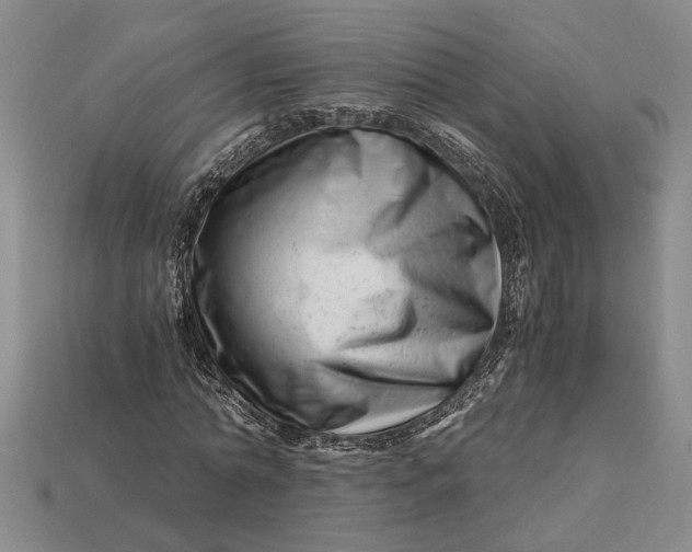 X0000112900774200909111524
