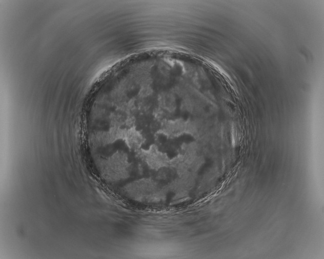 X0000112900775200909111524