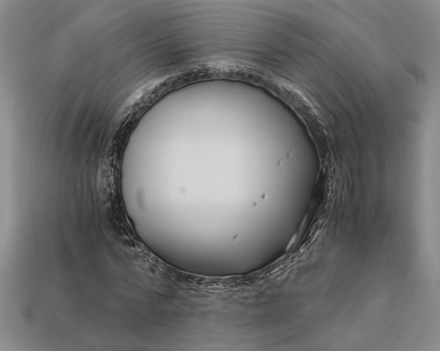 X0000112900776200909111524