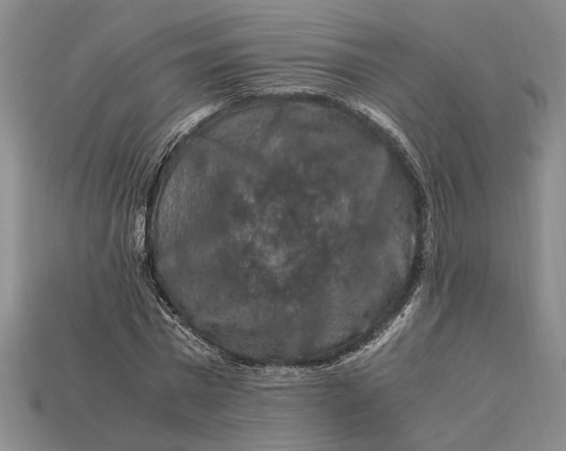 X0000112900777200909111524