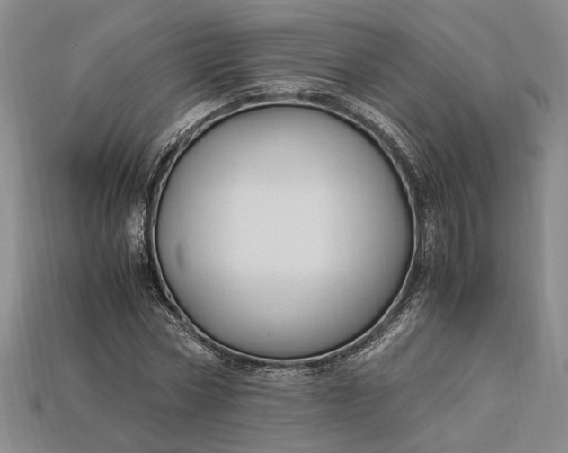 X0000112900778200909111524