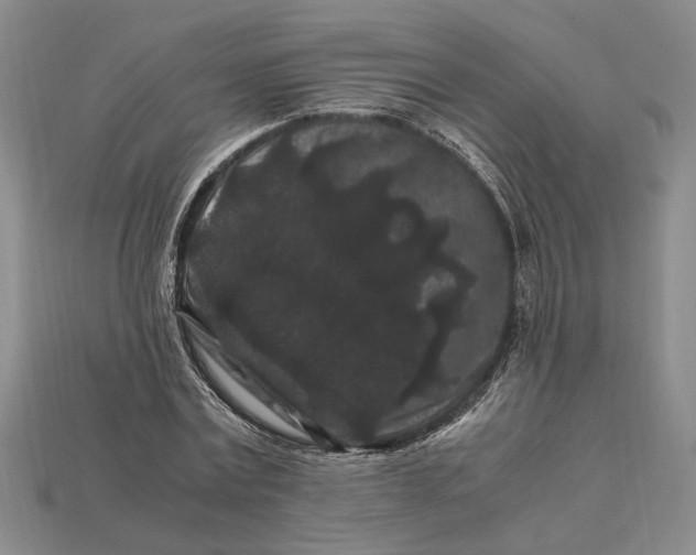 X0000112900779200909111524