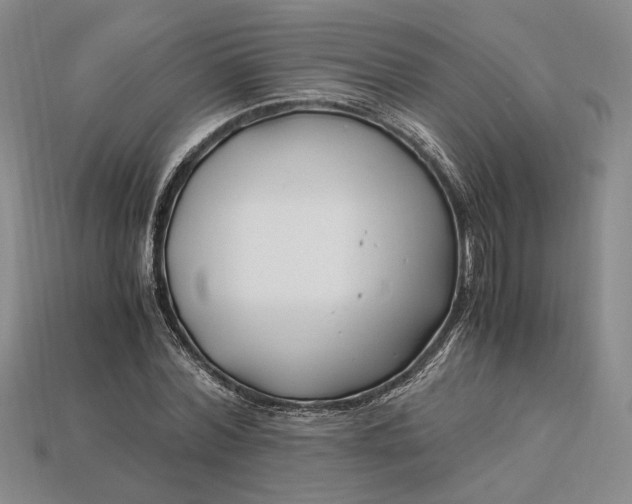 X0000112900780200909111524