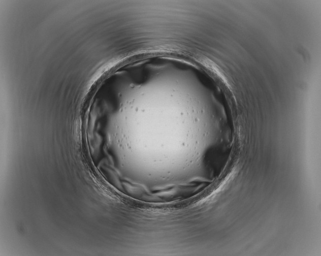 X0000112900781200909111524