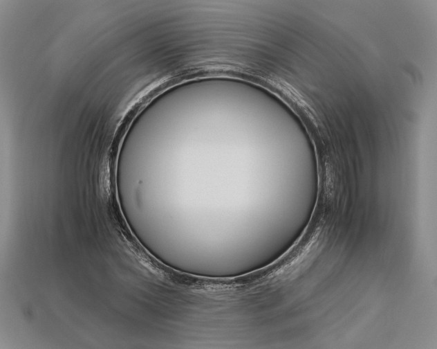 X0000112900782200909111524