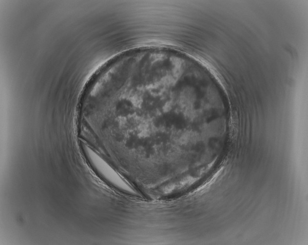 X0000112900783200909111524