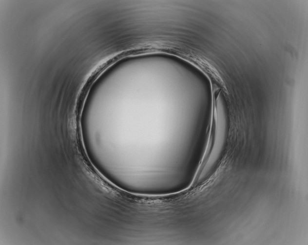 X0000112900784200909111524