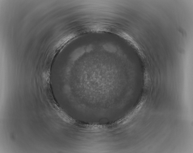 X0000112900785200909111524