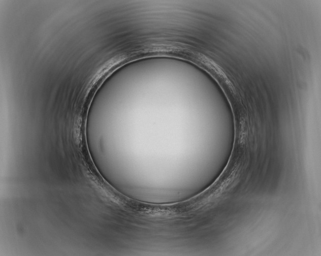 X0000112900786200909111524