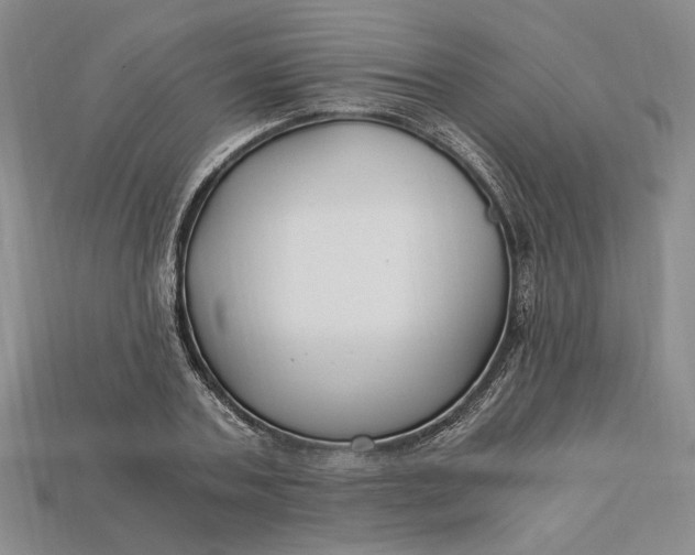 X0000112900787200909111524