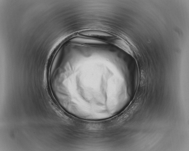 X0000112900788200909111524