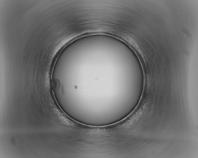 X0000112900789200909111524