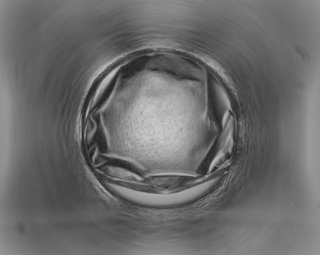 X0000112900791200909111524