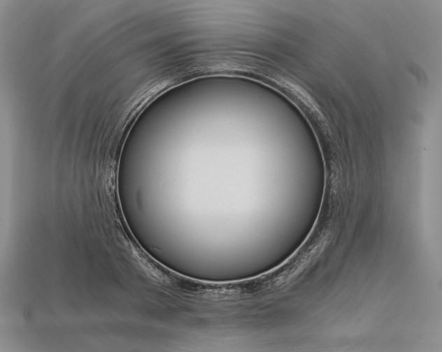 X0000112900793200909111524