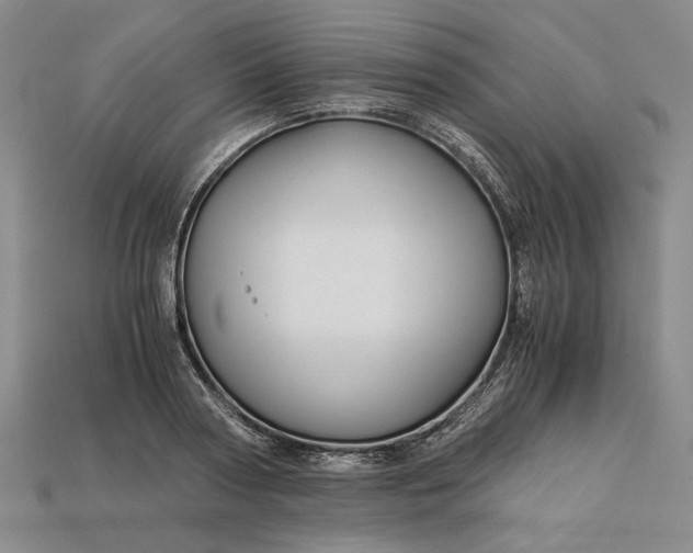 X0000112900794200909111523
