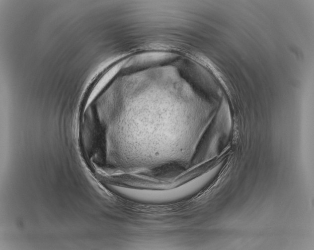 X0000112900795200909111523