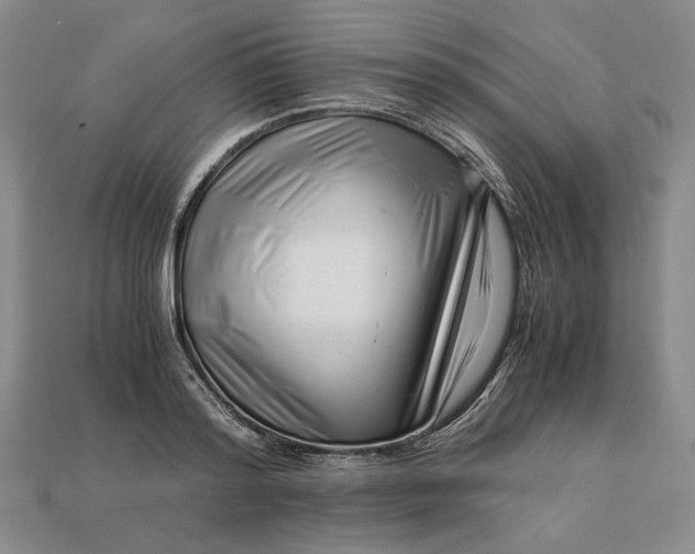 X0000112900796200909111523