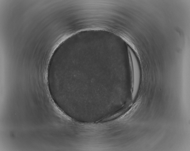 X0000112900797200909111523