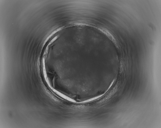 X0000112900798200909111523