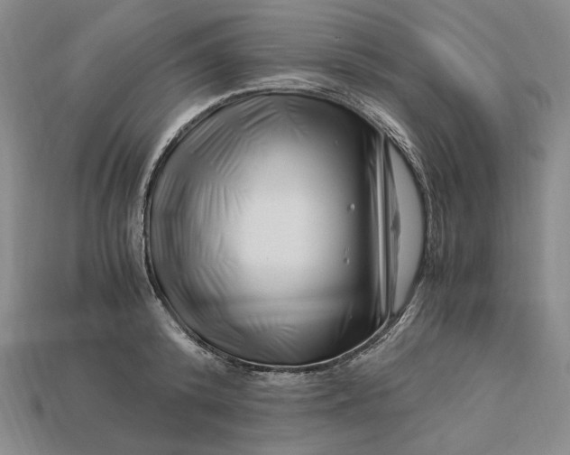 X0000112900800200909111523
