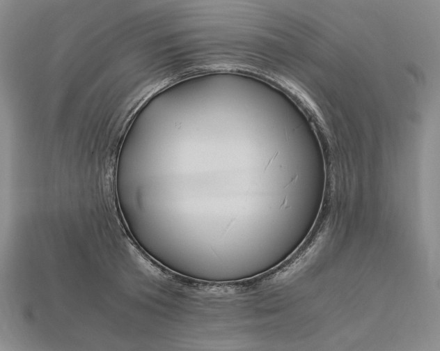 X0000112900801200909111523