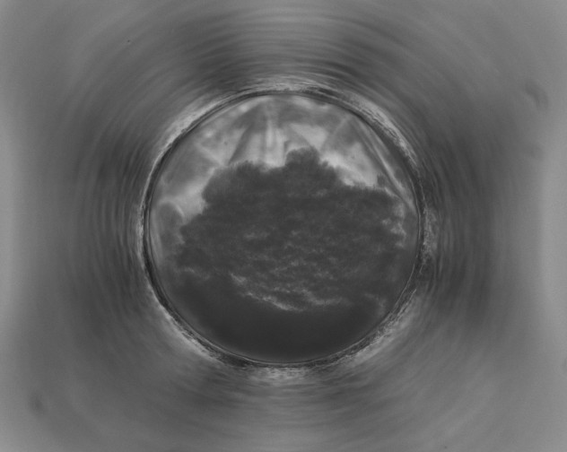 X0000112900802200909111523
