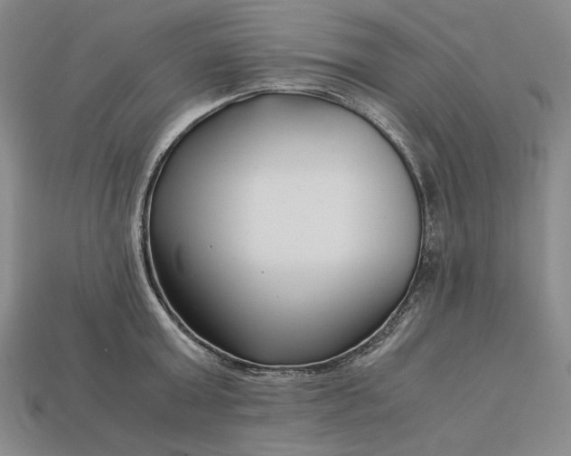 X0000112900803200909111523