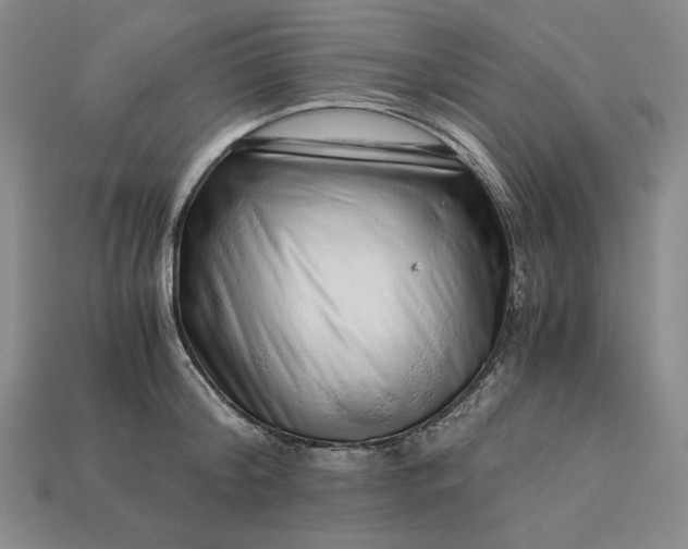 X0000112900804200909111523