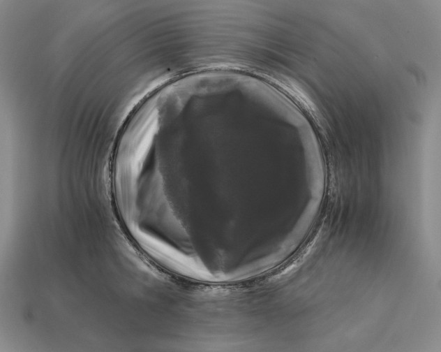 X0000112900806200909111523