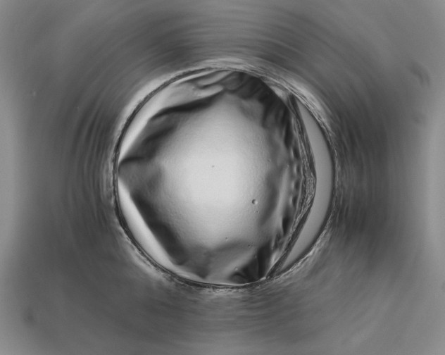 X0000112900808200909111523