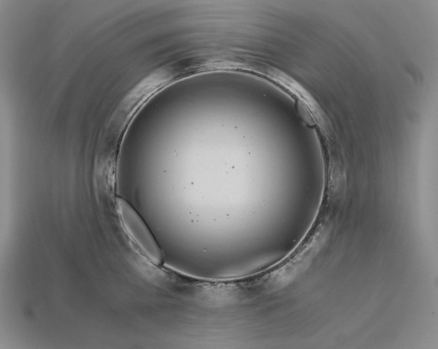 X0000112900809200909111523