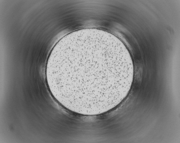 X0000112900810200909111523