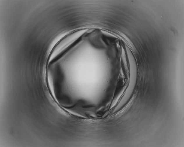 X0000112900812200909111523