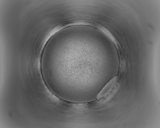 X0000112900813200909111523