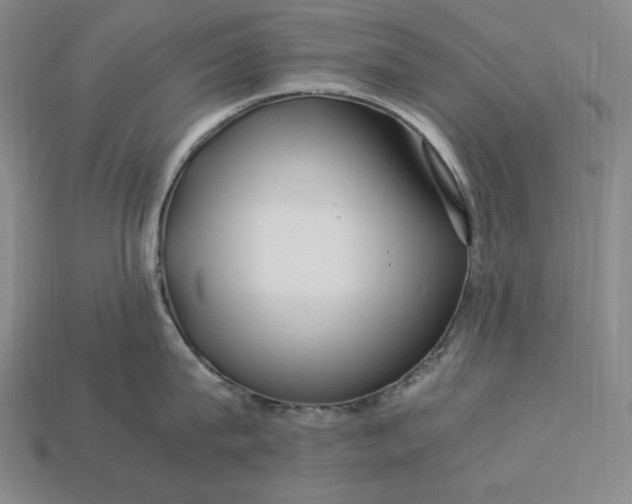 X0000112900815200909111523