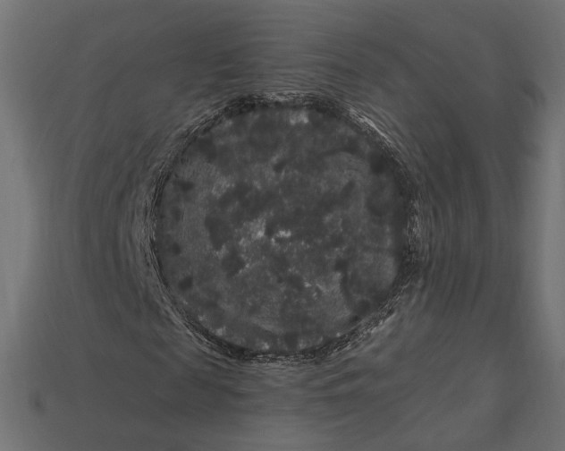 X0000112900817200909111522