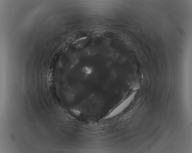 X0000112900818200909111522