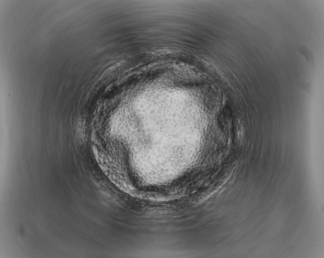 X0000112900819200909111522