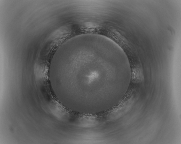 X0000112900820200909111522